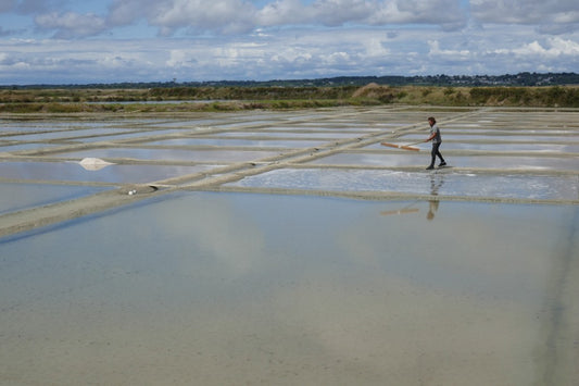 Lieux à visiter en Loire-Atlantique selon Etin'Sel