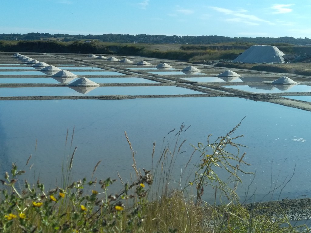 La rocade des marais salants