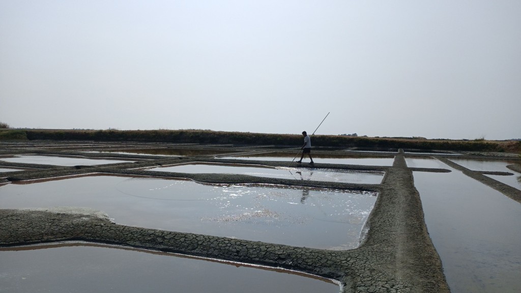 Mon bonheur de travailler dans les marais salants